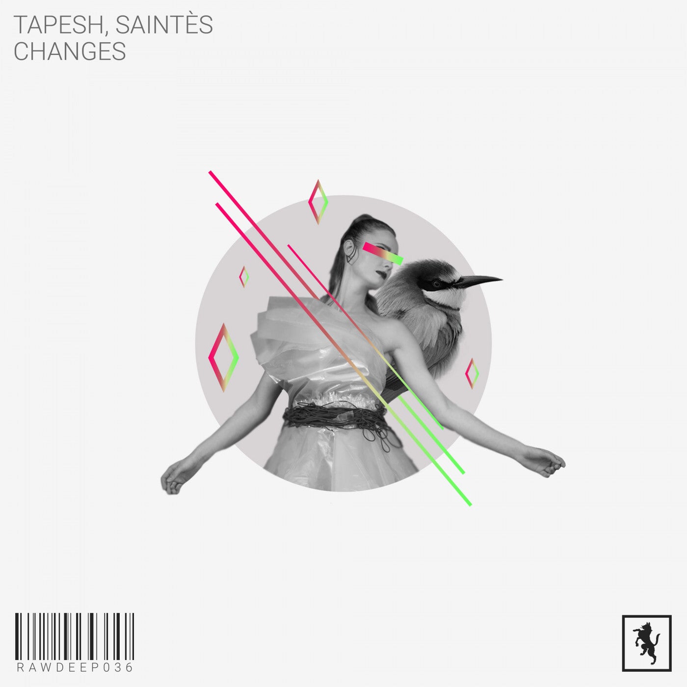 Tapesh, Saintes – Changes [RAWDEEP036]